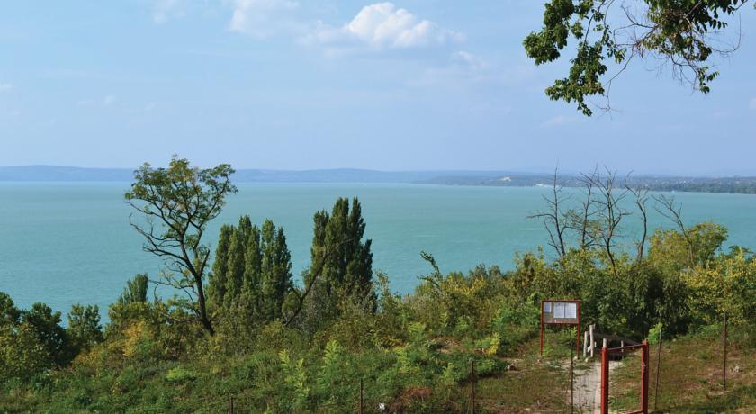 Апартаменты Holiday home Zalán utca-Balatonaliga