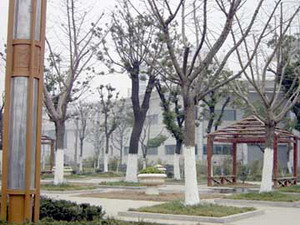Nanya Hotel Suzhou