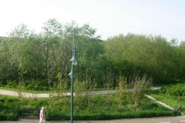 Апартаменты Kapelstraat S2