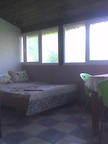 Гостевой дом Jurassic Park Guest House