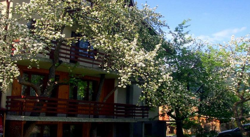 Отель Zlatnia Rog Guest Rooms