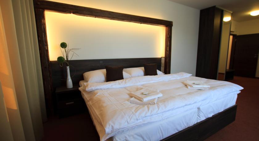 Отель Hotel Hanzel