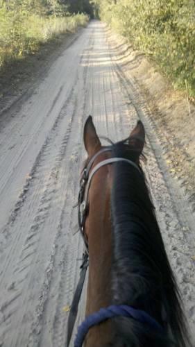 Гостевой дом Szerval Horse Riding Holidays