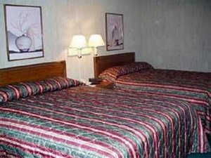 Отель Comfort Inn East