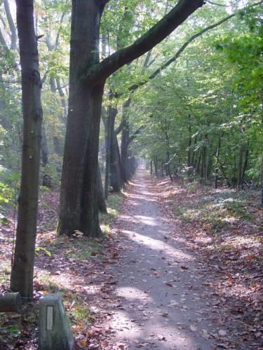Апартаменты Vakantie in Wageningen