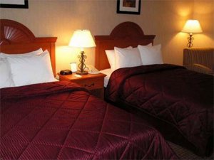 Отель Comfort Inn 