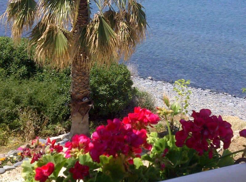 Вилла Akroyiali Beach Houses