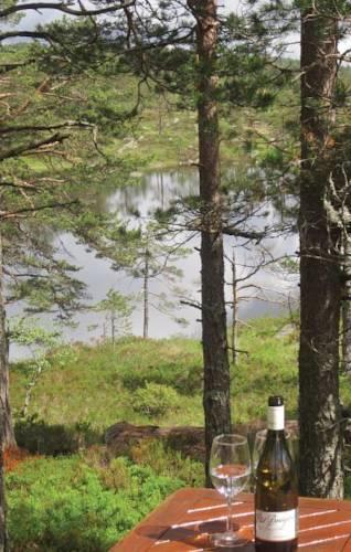 Апартаменты Holiday home Dølemo Hillestadheia VI