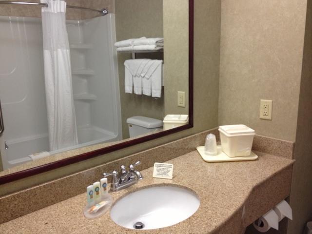 Отель Quality Inn & Suites