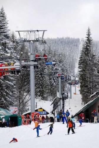 Апартаменты Holiday home Javornice