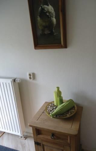 Апартаменты Apartment Paesens