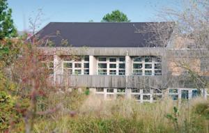 Отель Apartment Schiermonnikoog II
