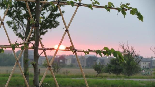 Гостевой дом De Wijde Blick