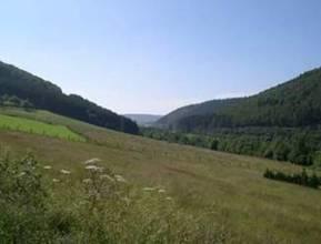 Апартаменты Niedersfeld