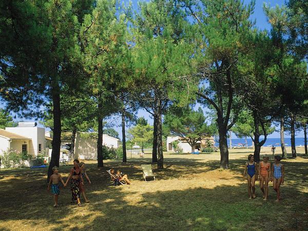 Отель Pinea Mare