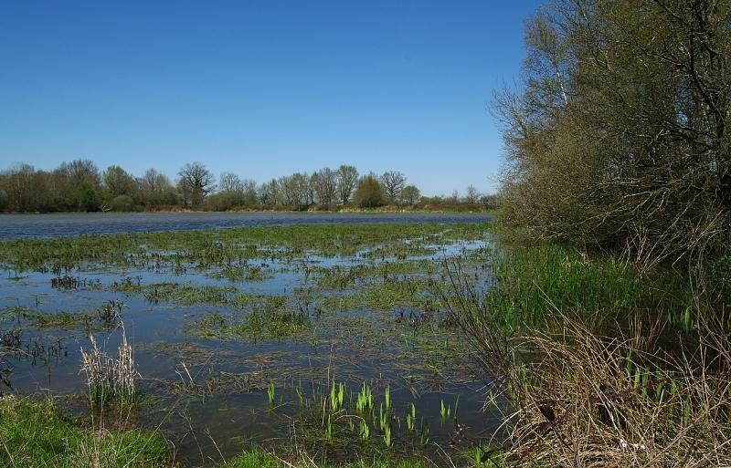 Отель Kanopée Village