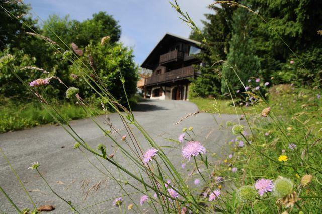Отель Chalet Louange