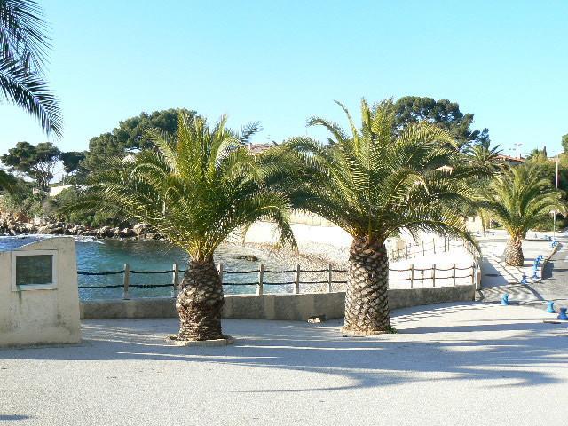 Апартаменты Apartment les Isles de Bandol - PLA056