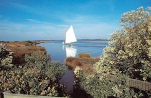 Апартаменты Apartment Bassin D´Arcachon II