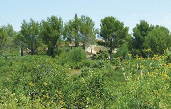 Апартаменты Holiday home Mas de la Gosse