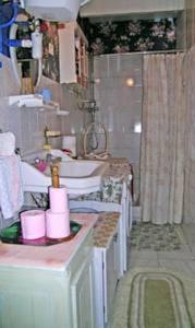 Апартаменты Holiday home Rue Maryse Bastie