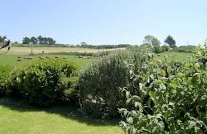 Отель Holiday home Route Du Guerzit II