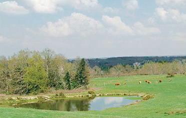 Апартаменты Holiday home Pouzol