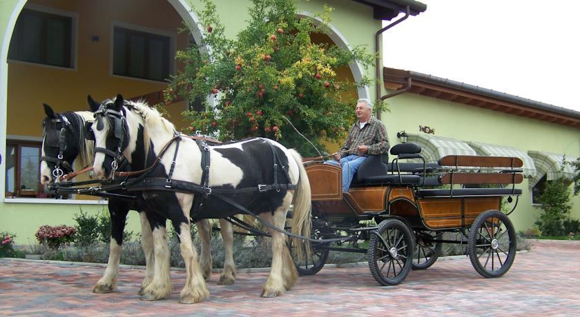 Отель Agriturismo Nonna Rina