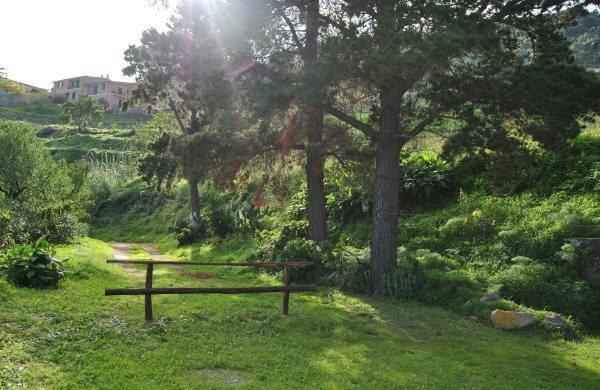 Апартаменты Apartment C Gioiosa Marea