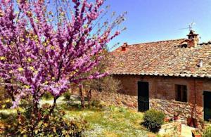 Апартаменты Casa dei Colombi