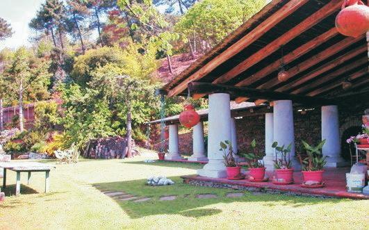 Апартаменты Al Bosco da Stefania