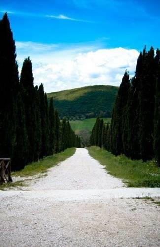 Апартаменты Holiday home Via di Val Serana