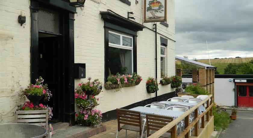 Отель The Royal Oak