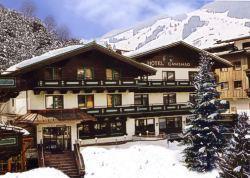 Отель Hotel Gamshag