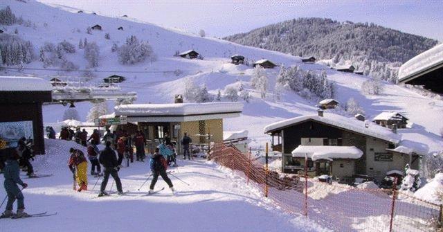 Отель Chalet-Hôtel du Borderan