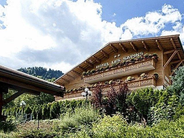 Отель Logis Hotel les Sapins