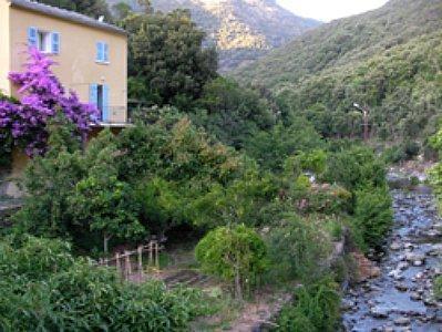 Апартаменты Les Gîtes du Cap Corse