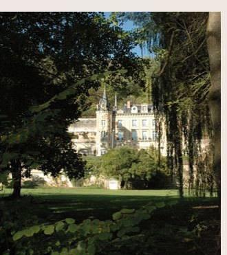 Отель Chateau de Perreux