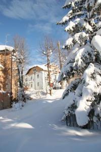 Отель Hotel Victoria
