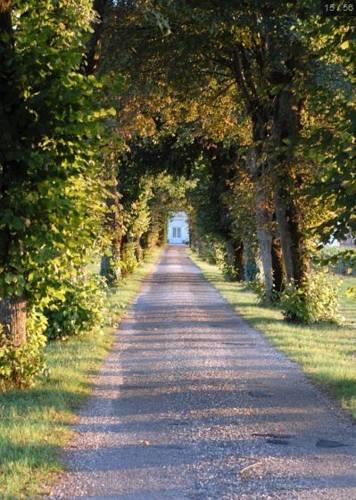 Мини-отель Château Belles Graves