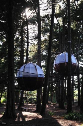 Отель Les Nids du Parcabout