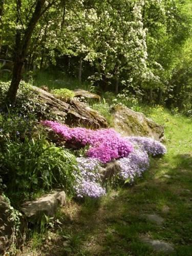 Отель B&B Scacco Matto