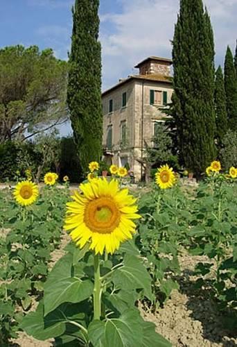 Отель Fattoria Di Casavecchia