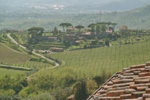 Отель Villa A Colli