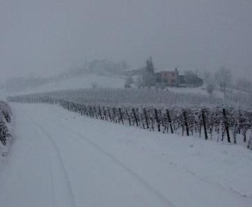 Отель Cascina Alberta