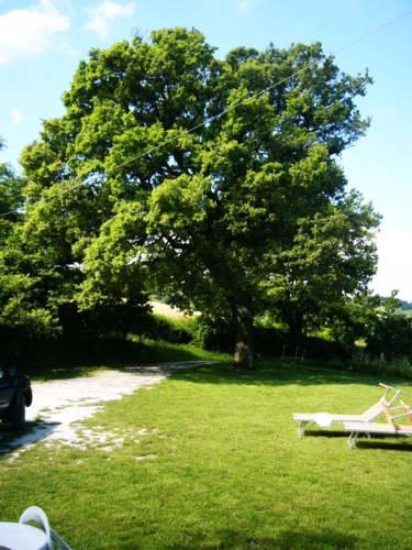 Отель Agriturismo Conero