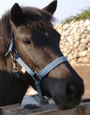 Отель Masseria Copertini