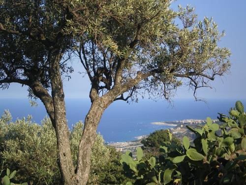 Мини-отель Visioni Mediterranee