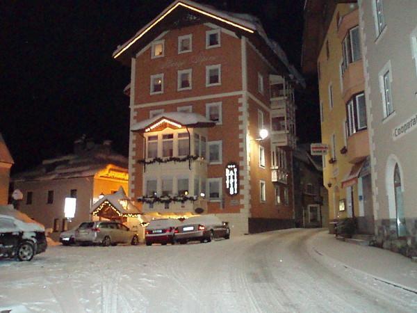 Отель Albergo Alpino