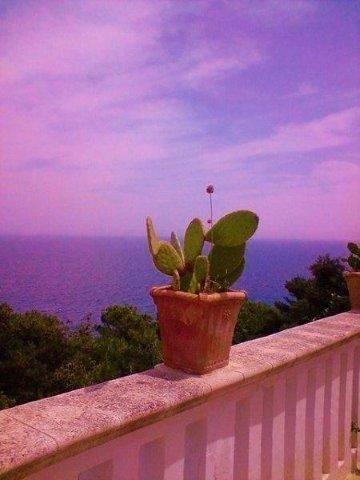 Вилла Casa Girasoli Romantica Sul Mare